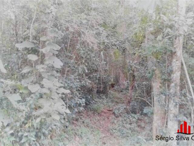 Chácara para Venda em Santo Antônio do Pinhal - 5