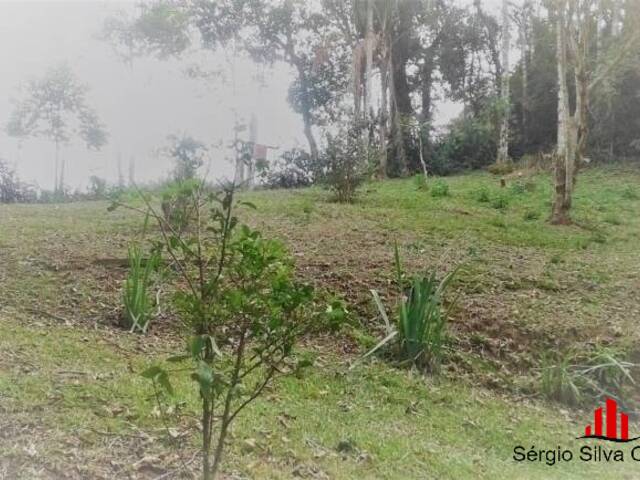 Chácara para Venda em Santo Antônio do Pinhal - 4
