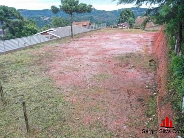 Terreno para Venda em Campos do Jordão - 4