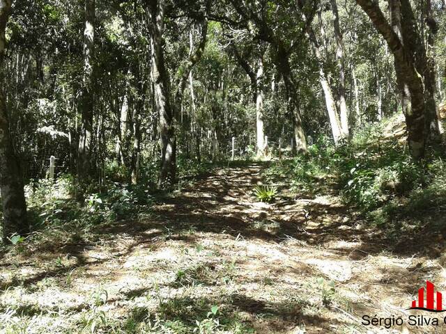 Terreno para Venda em Campos do Jordão - 4