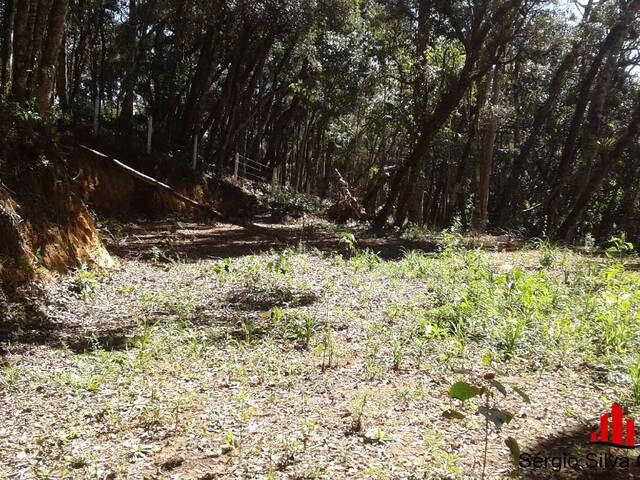 Terreno para Venda em Campos do Jordão - 5