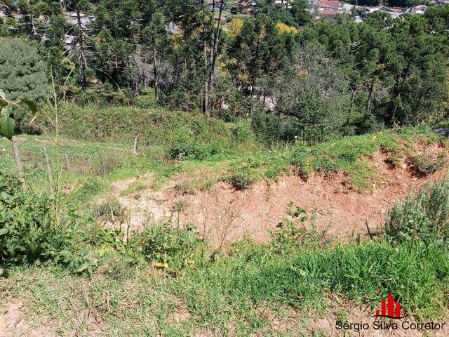 #77 - Terreno para Venda em Campos do Jordão - SP