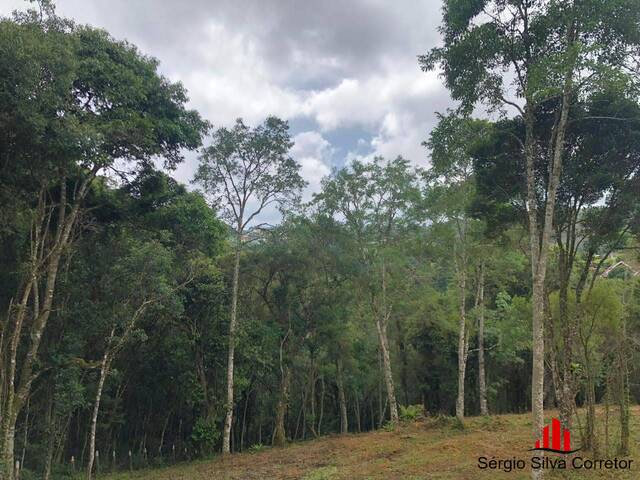 Terreno para Venda em Campos do Jordão - 4