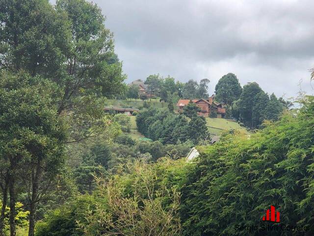 #78 - Terreno para Venda em Campos do Jordão - SP