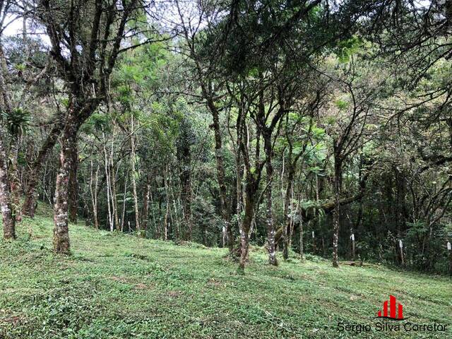 Terreno para Venda em Campos do Jordão - 5
