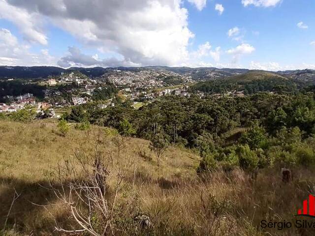 #79 - Terreno para Venda em Campos do Jordão - SP