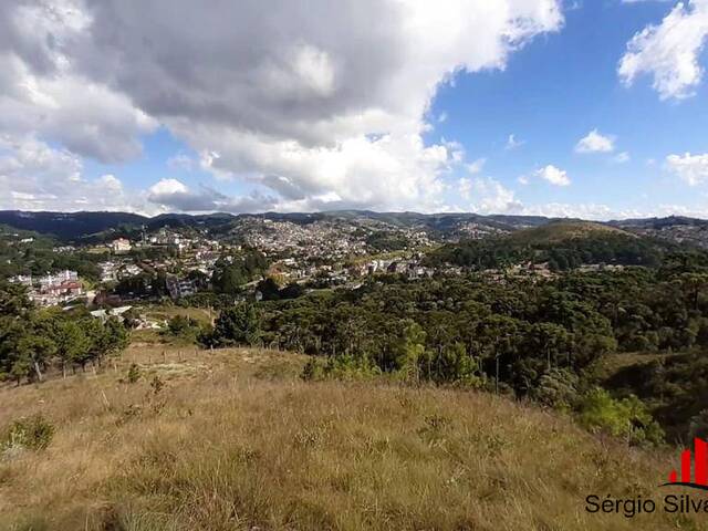 Terreno para Venda em Campos do Jordão - 5