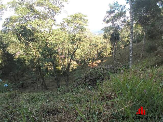 Terreno para Venda em Campos do Jordão - 5