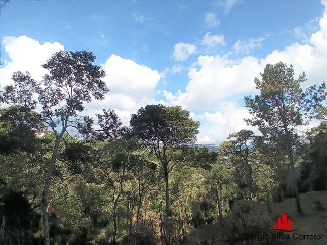 #91 - Terreno para Venda em Campos do Jordão - SP