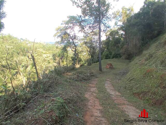 #91 - Terreno para Venda em Campos do Jordão - SP