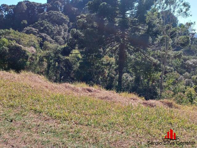 #118 - Pousada para Venda em Campos do Jordão - SP