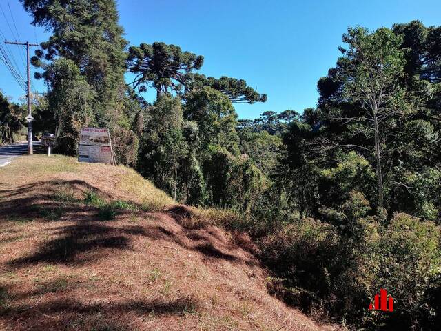 #118 - Pousada para Venda em Campos do Jordão - SP