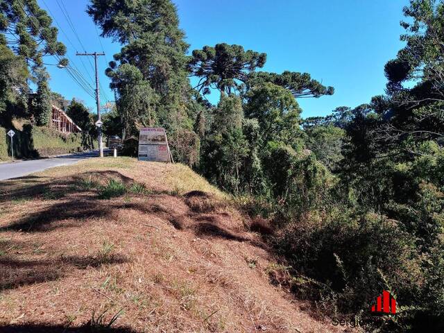 #118 - Pousada para Venda em Campos do Jordão - SP