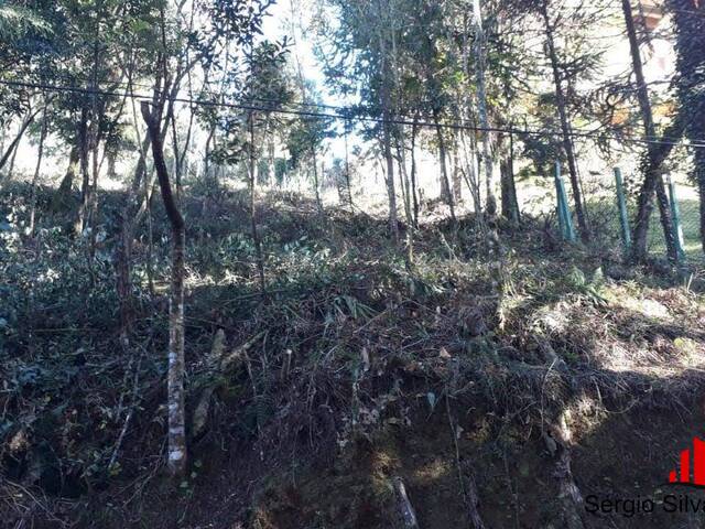 Terreno para Venda em Campos do Jordão - 4