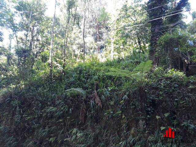 Terreno para Venda em Campos do Jordão - 5