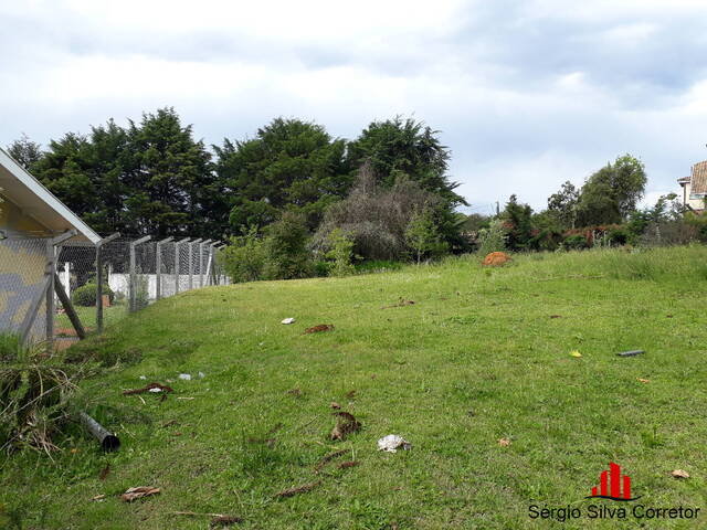 Terreno para Venda em Campos do Jordão - 4