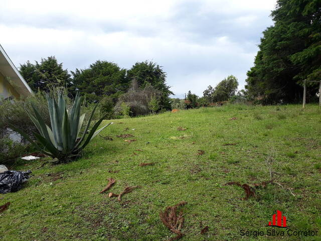 Terreno para Venda em Campos do Jordão - 5