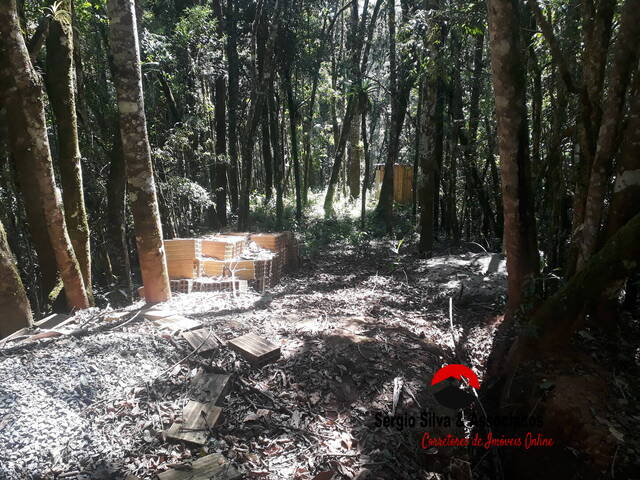 #227 - Terreno para Venda em Campos do Jordão - SP