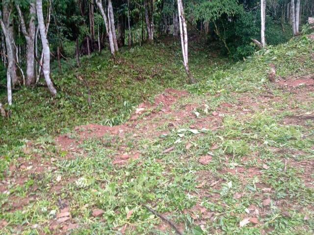Terreno para Venda em Piranguçu - 5