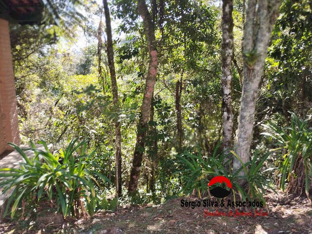 Terreno para Venda em Campos do Jordão - 5