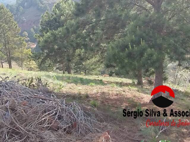 Terreno para Venda em Campos do Jordão - 4