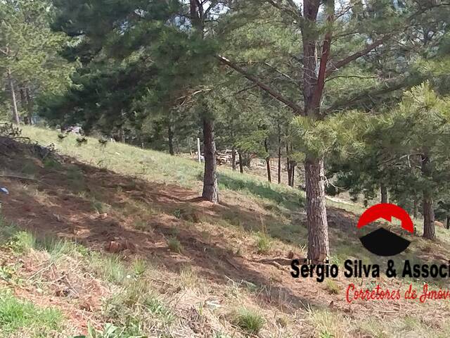 Terreno para Venda em Campos do Jordão - 5