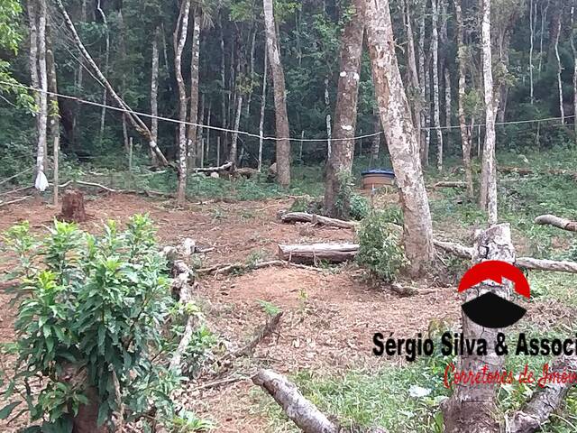 Terreno para Venda em Campos do Jordão - 5