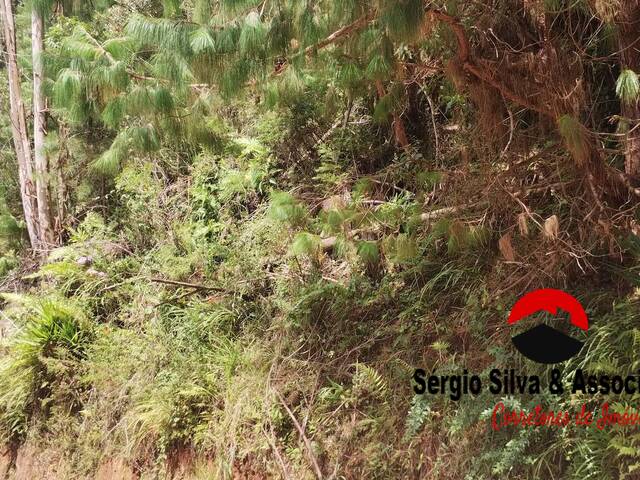 #292 - Terreno para Venda em Campos do Jordão - SP