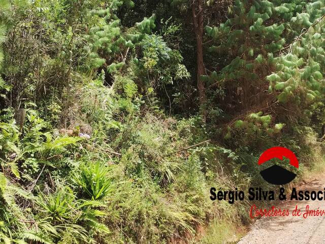 #292 - Terreno para Venda em Campos do Jordão - SP