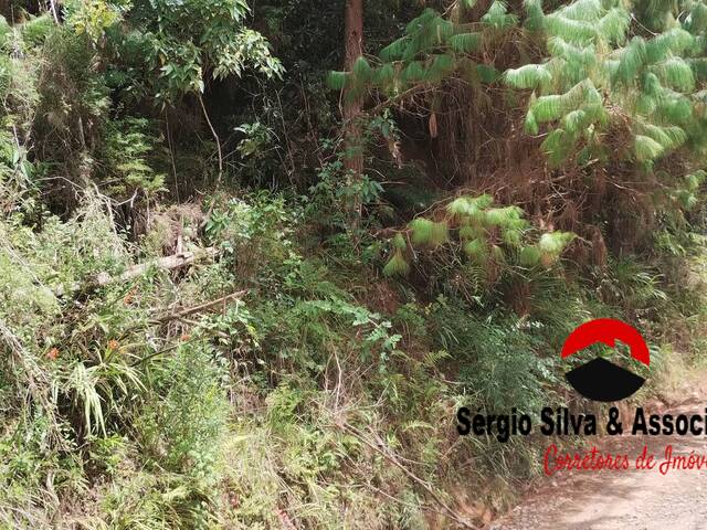 #292 - Terreno para Venda em Campos do Jordão - SP