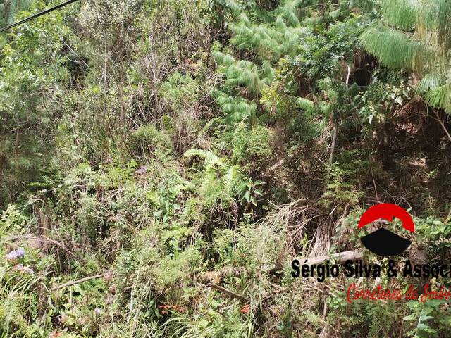 Terreno para Venda em Campos do Jordão - 4