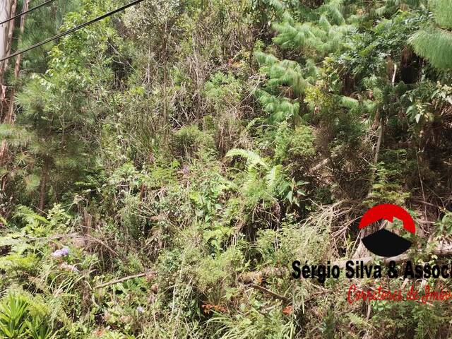 Terreno para Venda em Campos do Jordão - 5