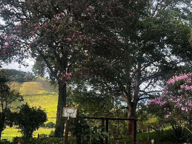#295 - Sítio para Venda em São Bento do Sapucaí - SP