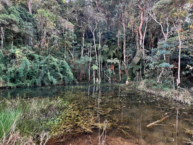 #298 - Sitio, Chacara para Venda em Campos do Jordão - SP