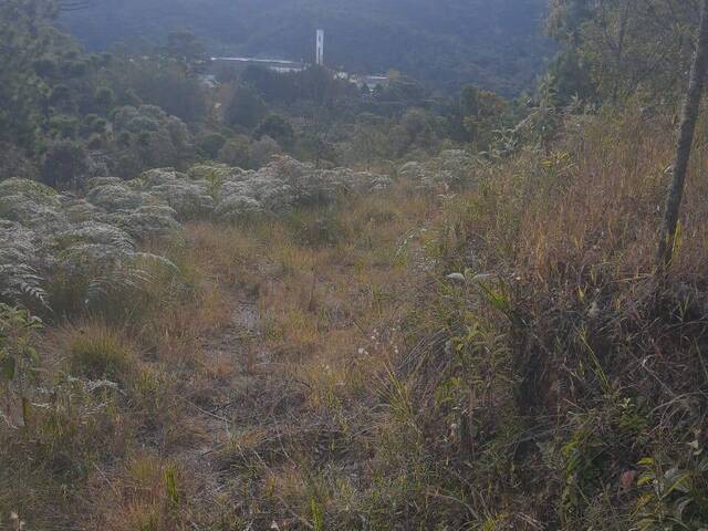 #302 - Terreno para Venda em Campos do Jordão - SP