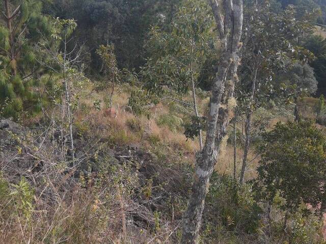 #302 - Terreno para Venda em Campos do Jordão - SP