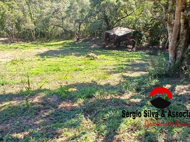 #316 - Área para Venda em Campos do Jordão - SP