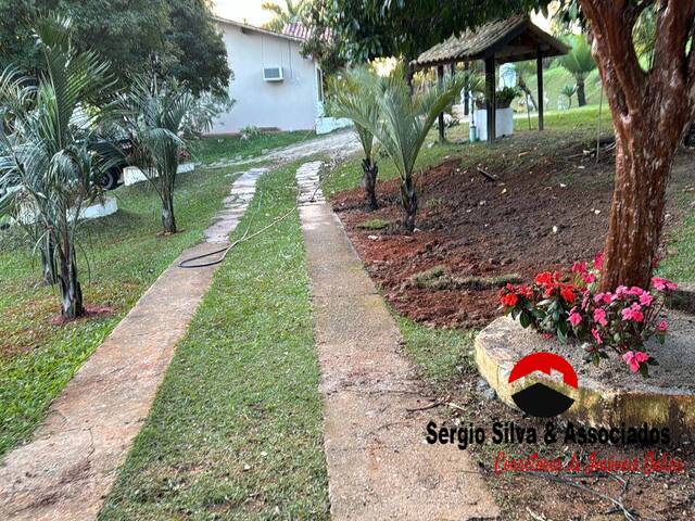 #317 - Sítio para Venda em Taubaté - SP
